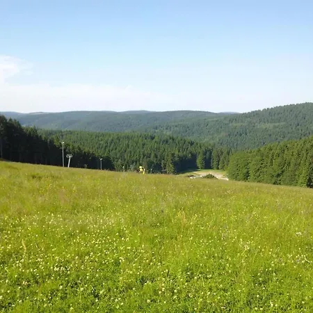 In Thuringia Near The Prázdninový dům *