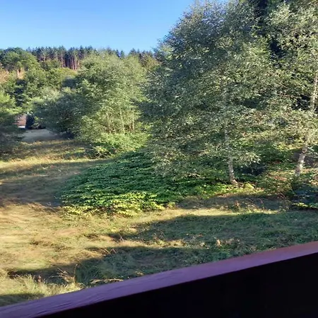 Quiet Near Vessertal Holiday home
